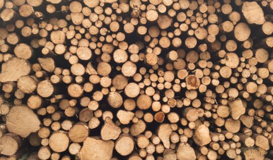 Mass Timber Is Reshaping Commercial Construction