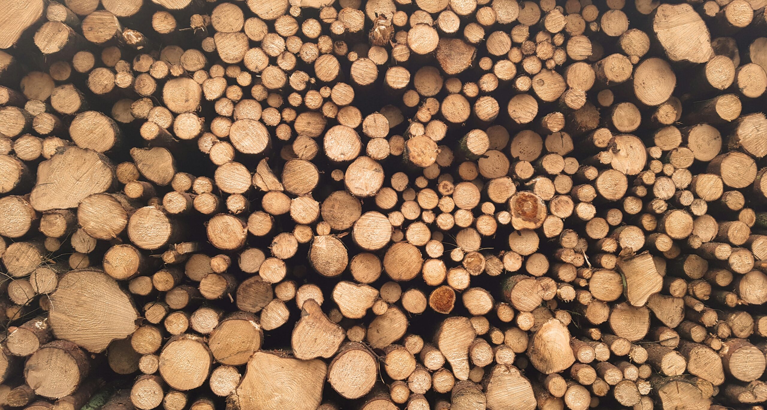 Mass Timber Is Reshaping Commercial Construction